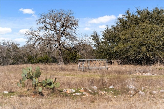 TBD Hidden Springs Drive, Salado, TX 76571 - photo 17