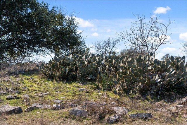 TBD Hidden Springs Drive, Salado, TX 76571