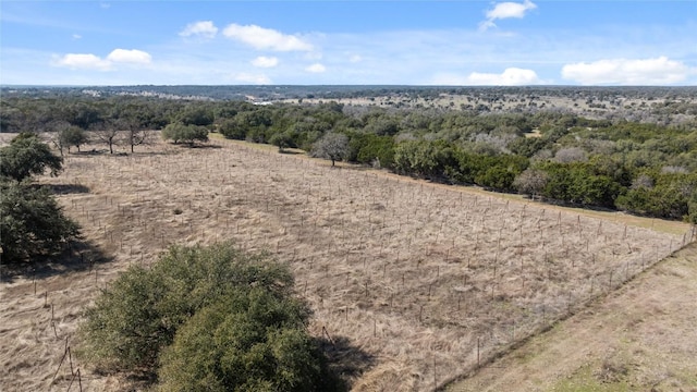 TBD Hidden Springs Drive, Salado, TX 76571 - photo 21