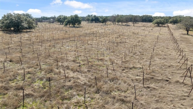 TBD Hidden Springs Drive, Salado, TX 76571 - photo 23