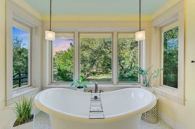 8700 Crest View Rd, Austin, TX 78737 - full bathroom featuring a freestanding bath, plenty of natural light, and tile patterned floors
