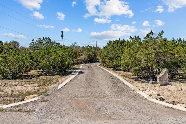 100 Ted Burger Rd, Dripping Springs, TX 78620 - photo 38