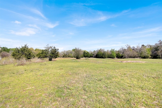 1205 Private Road 7016th Rd, Lexington, TX 78947 - photo 5