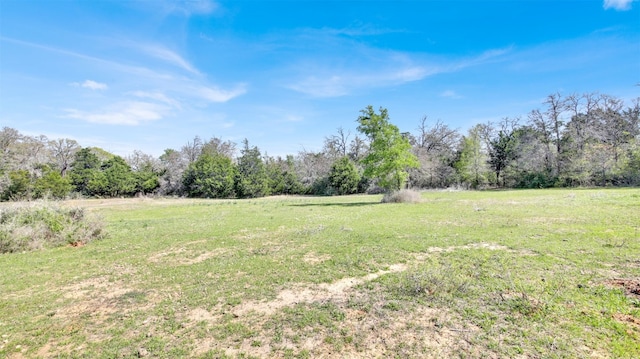 1205 Private Road 7016th Rd, Lexington, TX 78947 - photo 8