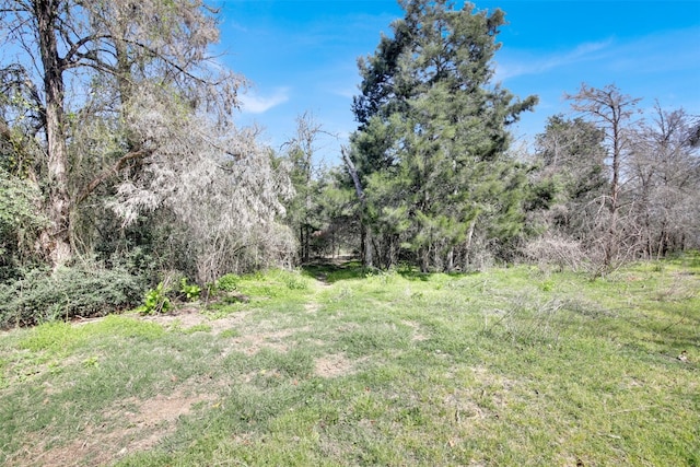 1205 Private Road 7016th Rd, Lexington, TX 78947 - photo 12