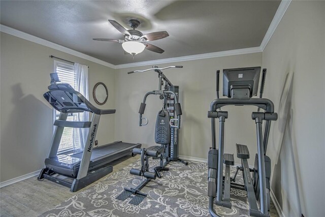 2921 Olympia Dr, Temple, TX 76502 - workout room featuring baseboards, wood finished floors, ceiling fan, and ornamental molding
