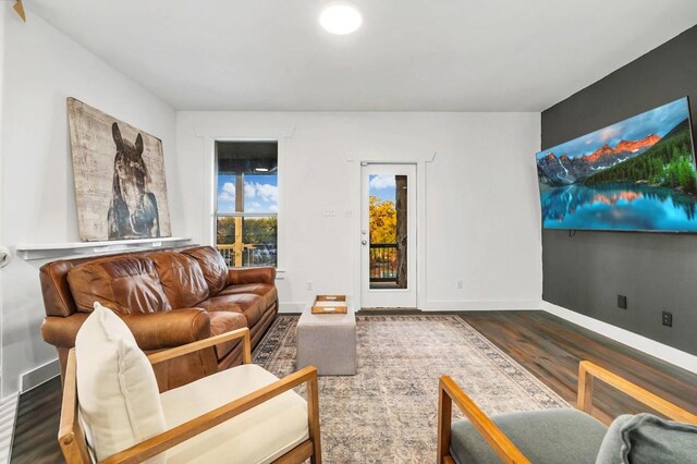 740 Nelson Ranch Rd, Cedar Park, TX 78613 - living room with wood finished floors and baseboards