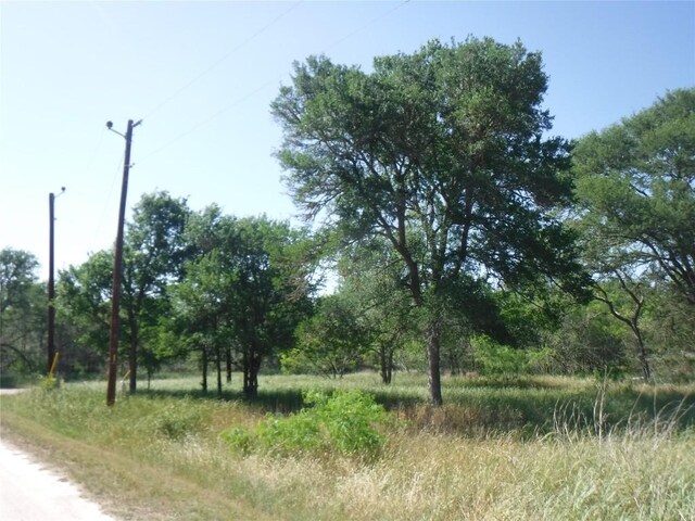 137 Winding Ln, Smithville, TX 78957