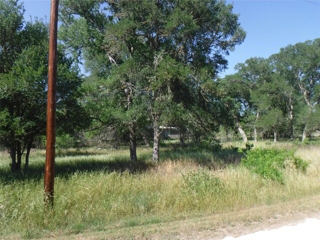137 Winding Ln, Smithville, TX 78957