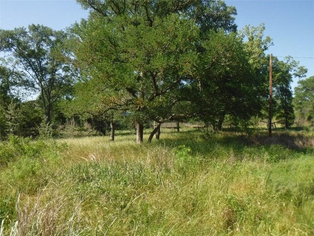137 Winding Ln, Smithville, TX 78957