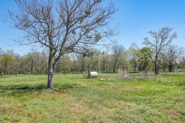 137 Mesa Dr, Del Valle, TX 78617 - photo 16
