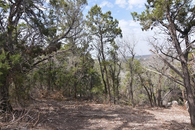 0000 Ranchland Hills Vis, Jonestown, TX 78645