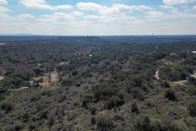 103 Palmie Ln, Marble Falls, TX 78654 - photo 17
