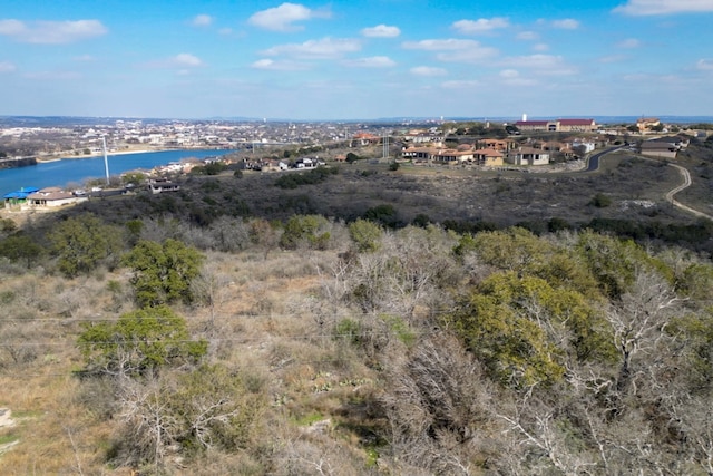 103 Palmie Ln, Marble Falls, TX 78654 - photo 22