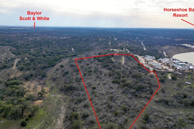 103 Palmie Ln, Marble Falls, TX 78654 - photo 5