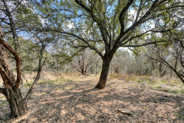 103 Palmie Ln, Marble Falls, TX 78654 - photo 9