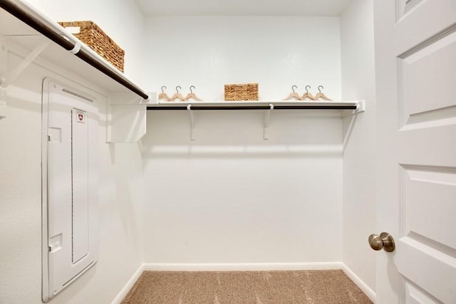 240 Hidalgo Ln, Elgin, TX 78621 - walk in closet with carpet