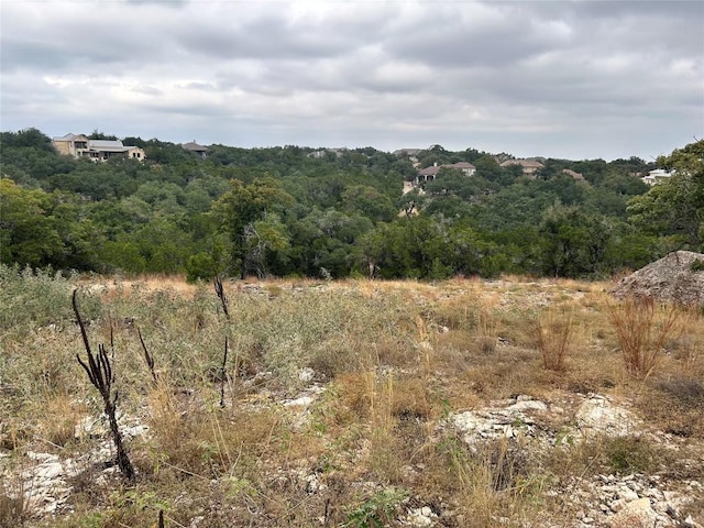 2239 Longs Peak, Canyon Lake, TX 78133 - photo 3