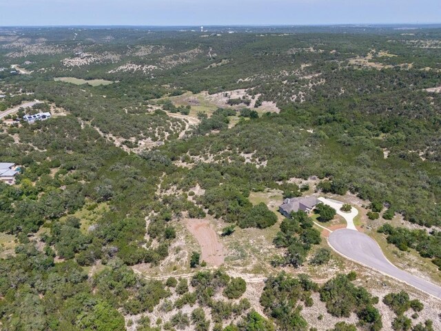 2239 Longs Peak, Canyon Lake, TX 78133 - photo 6