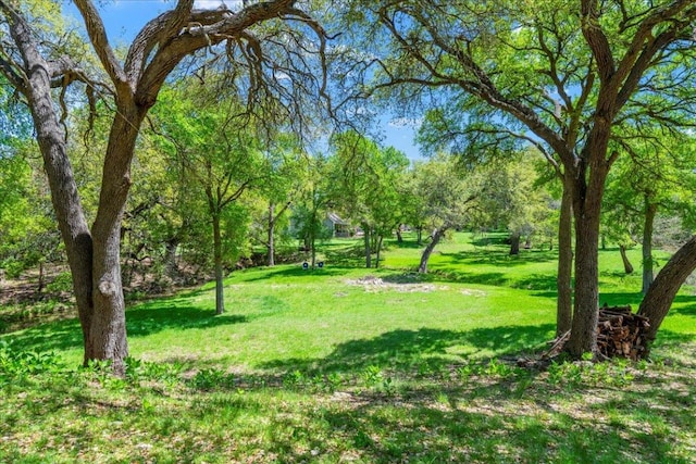 7 Tall Oaks Trl, Austin, TX 78737 - photo 34