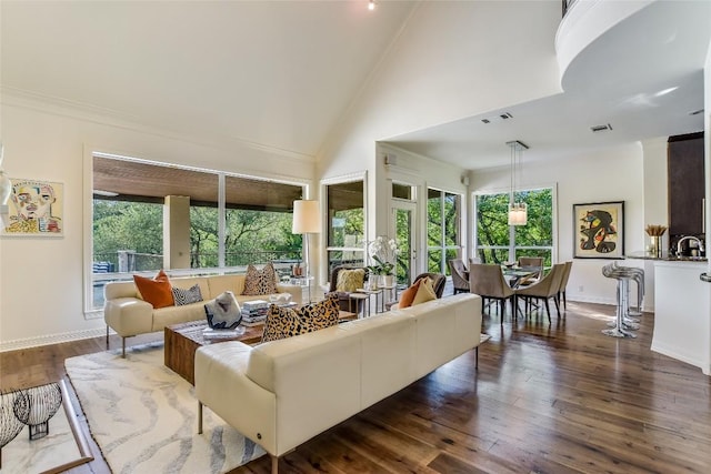 5802 Gentle Breeze Ter, Austin, TX 78731 - living area with dark wood-style flooring, high vaulted ceiling, and ornamental molding