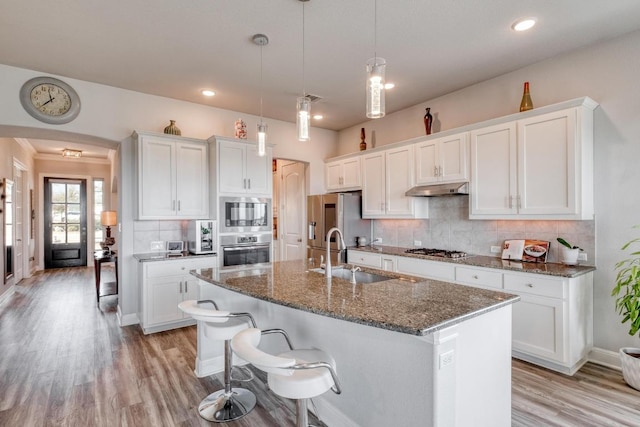 1304 Positano Pass, Leander, TX 78641 - kitchen featuring appliances with stainless steel finishes, a sink, under cabinet range hood, light wood-style flooring, and white cabinetry