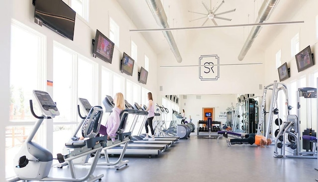 304 Echo Pass, Liberty Hill, TX 78642 - gym with a towering ceiling and healthy amount of natural light
