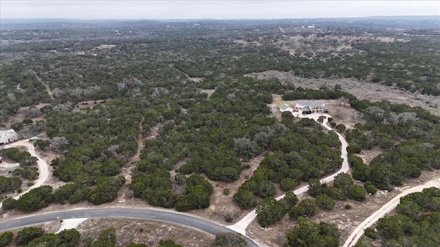 140 Cave Springs Rd, Wimberley, TX 78676 - photo 4