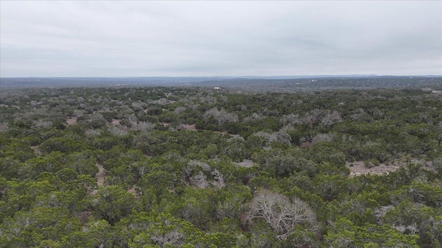 140 Cave Springs Rd, Wimberley, TX 78676 - photo 1