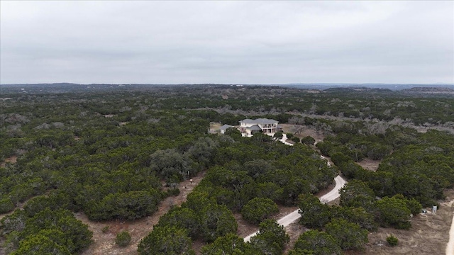 140 Cave Springs Rd, Wimberley, TX 78676 - photo 5