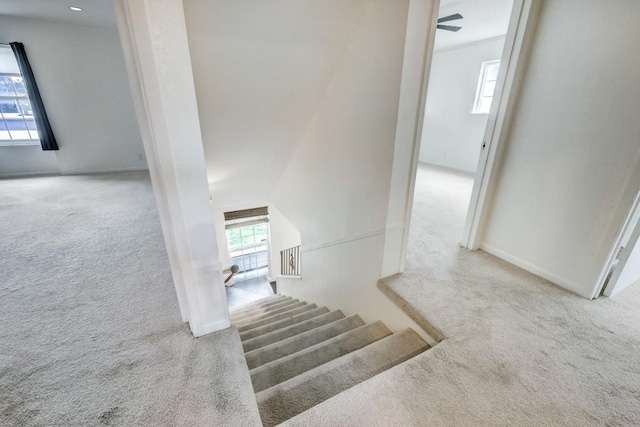 7914 Mullen Dr Unit 106, Austin, TX 78757 - photo 10
