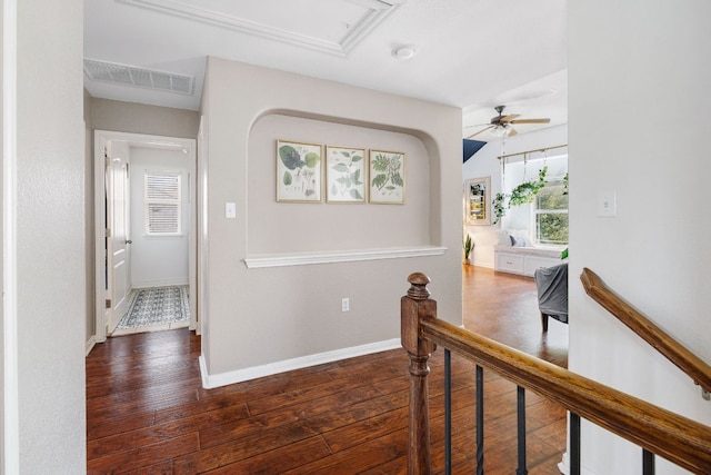 105 Wimberley St, Hutto, TX 78634 - corridor with hardwood / wood-style floors, an upstairs landing, baseboards, and attic access