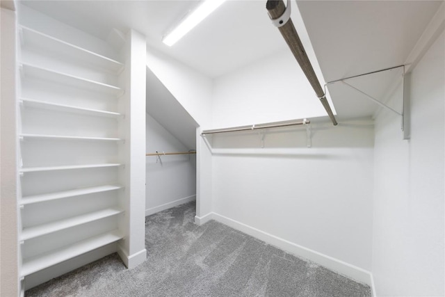 1017 Dog Iron St, Georgetown, TX 78633 - walk in closet with carpet floors