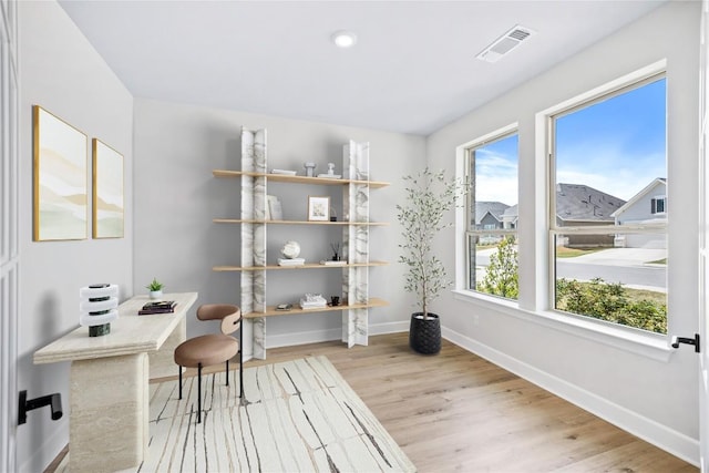 1017 Dog Iron St, Georgetown, TX 78633 - office area featuring wood finished floors and recessed lighting