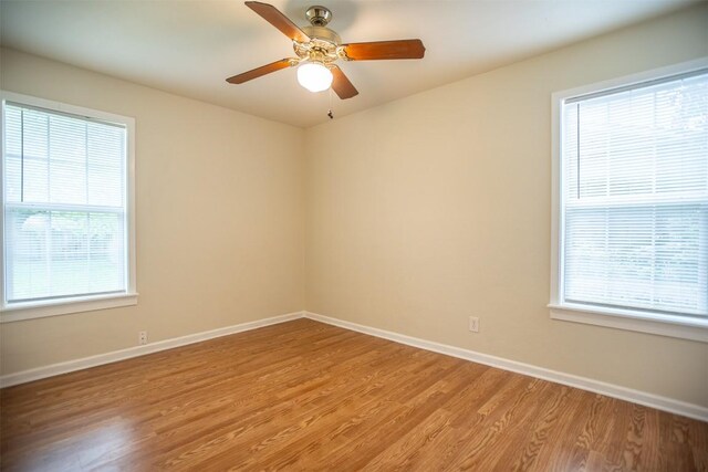 2312 Devonshire Dr, Austin, TX 78723 - spare room featuring light wood finished floors, plenty of natural light, and a ceiling fan