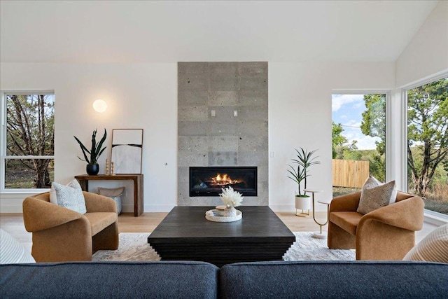 13400 Paisano Trl, Austin, TX 78737 - living area featuring a fireplace, wood finished floors, and healthy amount of natural light