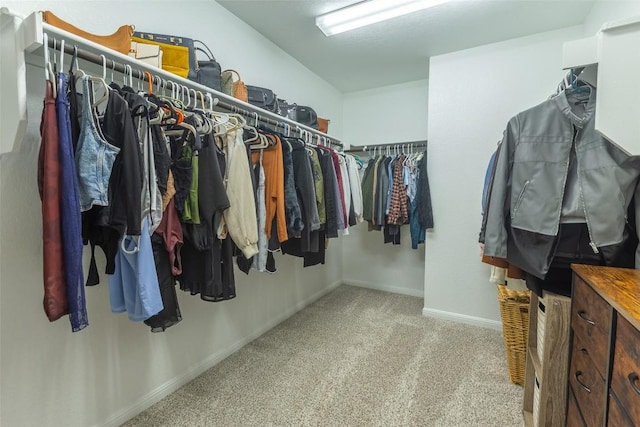 spacious closet featuring carpet flooring