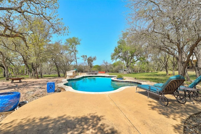 591 Young Ranch Rd, Georgetown, TX 78633 - swimming pool featuring a patio and view of scattered trees