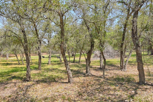 591 Young Ranch Rd, Georgetown, TX 78633 - view of undeveloped land
