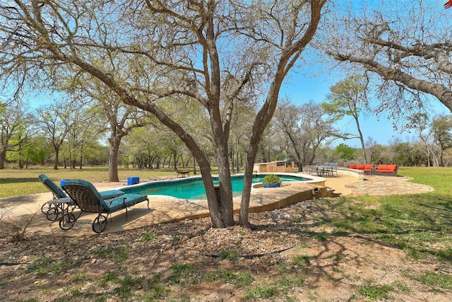 591 Young Ranch Rd, Georgetown, TX 78633 - swimming pool featuring a patio and a lawn