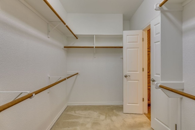 4604 Sonora Trce, Georgetown, TX 78633 - photo 24