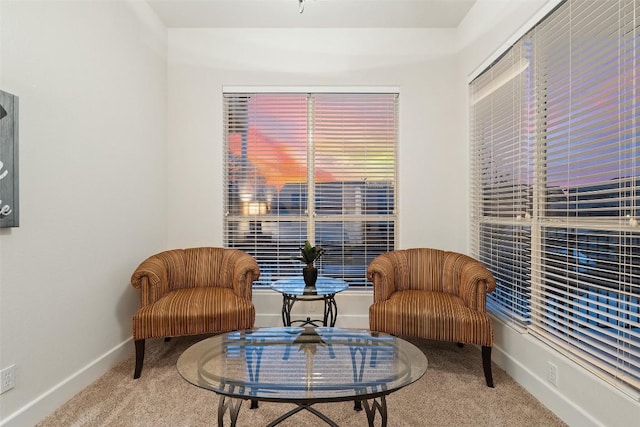 510 N Horseshoe Bay Blvd, Horseshoe Bay, TX 78657 - sitting room with carpet floors and baseboards