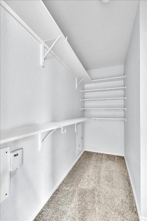 16101 Mcdows Hole Ln, Austin, TX 78717 - spacious closet with carpet