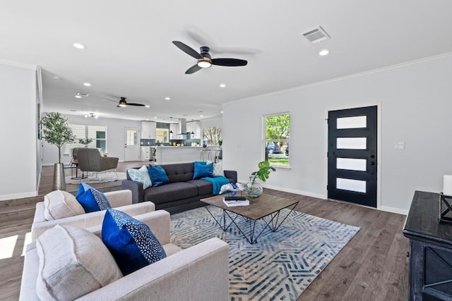 living area featuring ceiling fan, visible vents, crown molding, and wood finished floors