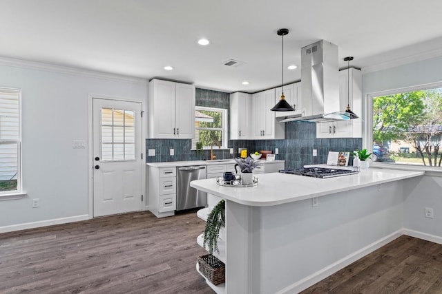 kitchen featuring stainless steel appliances, island exhaust hood, a sink, white cabinets, and a peninsula
