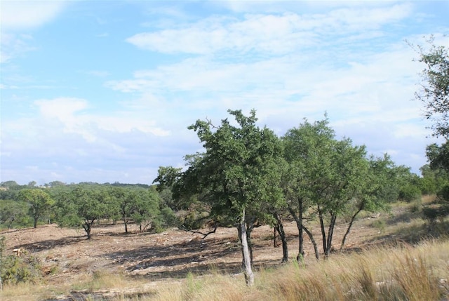 LOT36 Prancing Deer Ln, Johnson City, TX 78636