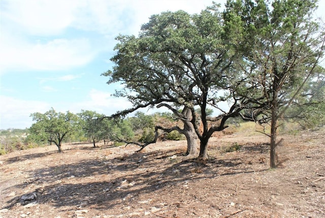 LOT36 Prancing Deer Ln, Johnson City, TX 78636