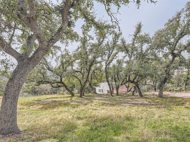 14704 Hornsby Hill Rd, Austin, TX 78734
