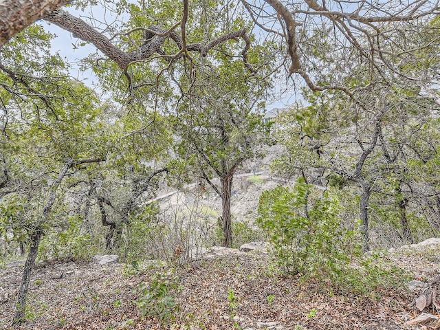 14704 Hornsby Hill Rd, Austin, TX 78734