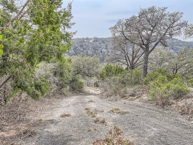 14704 Hornsby Hill Rd, Austin, TX 78734